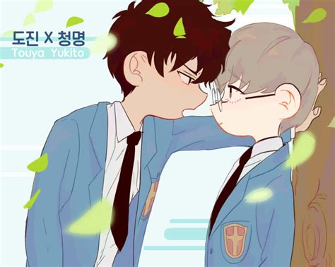 || 윰 @ttyummtt ※permission to upload this was given by the artist please do not repost, edit or remove credits. 도진청명 (@TouyaYukito_) | Yukito, Syaoran