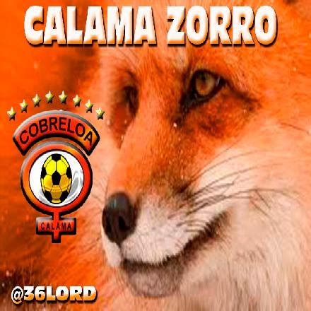 The name cobreloa comes from combining the spanish word for copper (cobre), and loa, after the province and the loa river. Cobreloa Zorro - Cobreloa | wonderbreadinwales