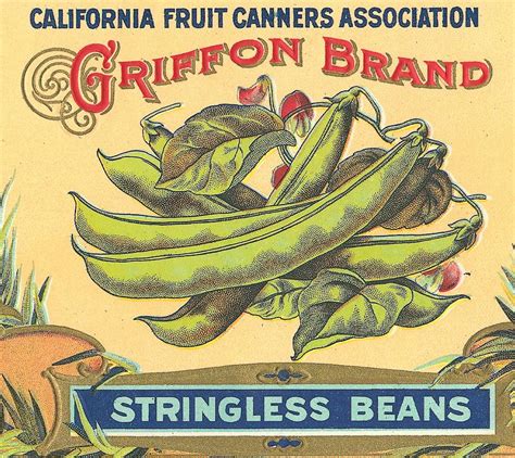 Dicots (plants like the bean plant above) have two cotyledons. Sisters' Warehouse: Vintage Vegetable Labels