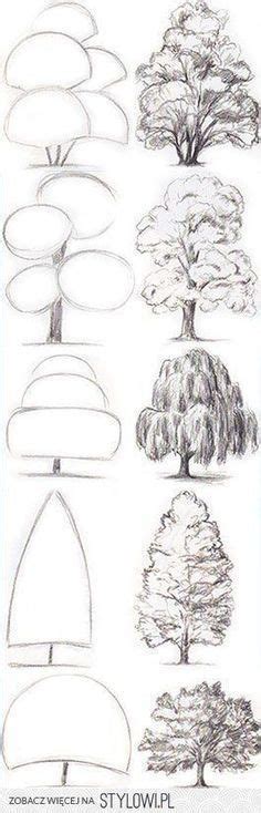 Contorna l'albero di natale, cercando di variare spessore e intensità della linea. Come disegnare gli alberi | Alberi di disegno, Disegno ...