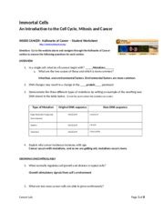 Cell cycle student worksheet answer key. Cncer Lab - Immortal Cells An Introduction to the Cell Cycle Mitosis and Cancer INSIDE CANCER ...