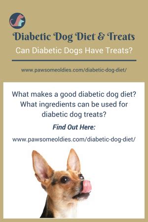 They must provide a portion of food that's consistent in calories and sugar content. Diabetic Dog Diet | Diabetic dog, Dog diet, Diabetic dog food