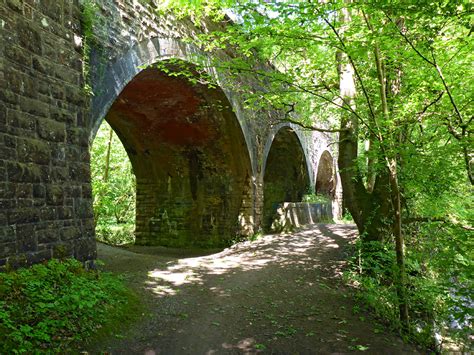 Do you want to know the entry ticket price for entrance to leigh woods car park? Photographs of Leigh Woods National Nature Reserve ...