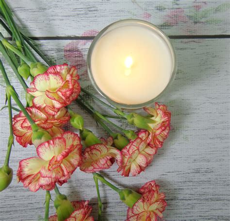 Honey bees, long regarded as models of industry and purity, make their wax from the nectar of flowers. Light of My Life Candle Collection - My Highest Self