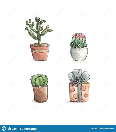 Free cactus printable hello friends! Green Cactus And Gift Set Illustration Drawing Stock ...