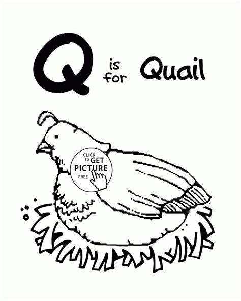 Q · quadrilateral · quadruped · quadruplets · quaesitosaurus · quagga · quail · quart · quarter : Letter Q - Alphabet coloring pages for kids, Letter Q words printables ...