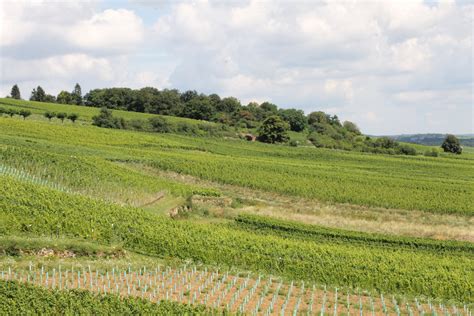 Sollte besonders mit den august malvorlagen, die auf malvorlagentv hochgeladen wurden, erstaunlich sein. August Foto & Bild | natur, landschaft, pflanzen Bilder ...