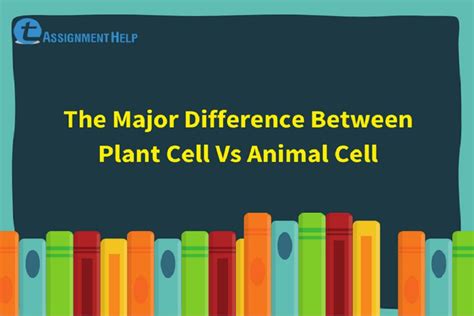 Plant and animal cell shape difference. The Major Difference Between Plant Cell Vs Animal Cell ...