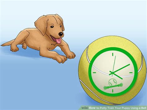 You can buy dog bells for potty training quite cheaply. How to Potty Train Your Puppy Using a Bell (with Pictures)