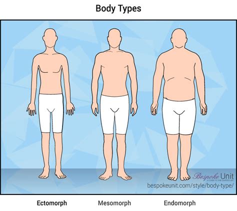 I associate it with someone with a mesomorph body type. The Ultimate Guide To Male Body Types | Understand Your ...