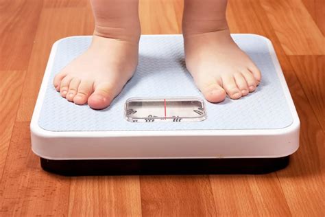 • jangan pernah tinggalkan sarapan. Si Kecil Terlalu Kurus? Ini Cara Menambah Berat Badan Anak ...