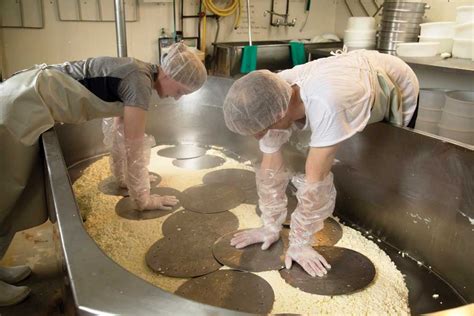 Texturally, bloomsday is very similar to another popular cato corner cheese, bridget's abbey; Learning to be a Fromager at Cato Corner Farm - Ink ...