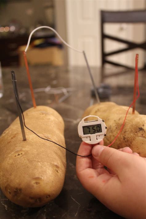 Using packages here is powered by skypack , which makes packages from npm not only available on a cdn, but prepares them for native javascript es6. OC Mom Activities: Potato Powered Clock as Science Fair ...