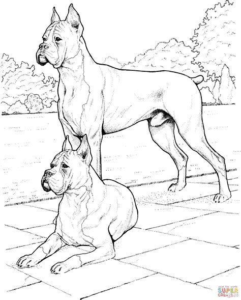 What to know what color your boxer is? #coloring #dogs #pages #two #2020 Check more at https ...