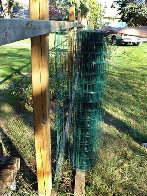 Fence for home gardens, using fencing wire chicken netting. 20 Inexpensive Temporary Fencing Ideas for Your Home ...