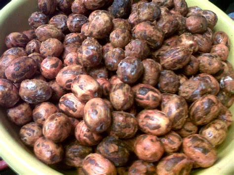 Nutmeg) ialah satu genus tumbuhan tropika yang pokoknya malar hijau dalam myristica. jual bibit dan buah pala kering