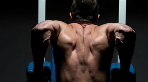 Upper-Body Strength, Dip-Centric Workout Routine | Muscle ...