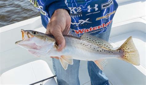 Maybe you would like to learn more about one of these? Top New Orleans Fishing and Boating Charters