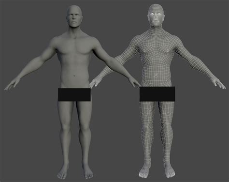 A regional study of human structure. Base mesh Human Man Anatomy 3D | CGTrader