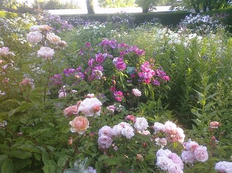 This was the same year the french stormed the bastille starting their revolution. Englischer garten nackt. München: Auf der Suche nach den ...