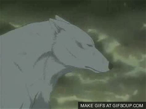 Daydreaming : Wolf´s Rain - Reseña