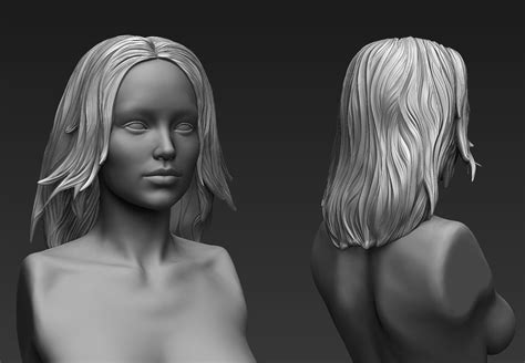 Zbrush Hair Sculpt 04 3D model OBJ ZTL