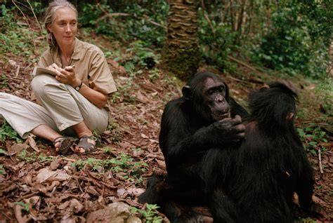 The story of one remarkable woman who became a global icon in animal welfare and conservation who not only hoped for a better world, she achieved it! New Jane Goodall Film to Reveal Never-Before-Seen Footage