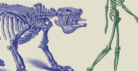 Les deux mettent la folie d'un parent et les mensonges au cœur de la vie d'un enfant. Les dinosaures vous saluent bien - En attendant Nadeau