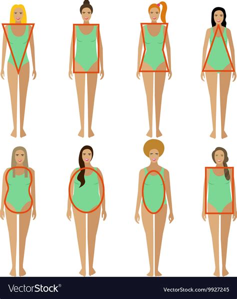 The banana body shape is known by other names such as rectangle, banana, straight or ruler. Different female body types Woman figure shapes Vector Image