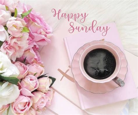 We did not find results for: Happy Sunday! | Coffee flower, Coffee and flowers, Coffee time