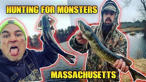 Softbound. 193 color photos, 88pp, 8 1/2 x 11 the bluegill the pumpkinseed the black crappie the white crappie the largemouth bass the smallmouth bass the striped. Massachusetts Largemouth Bass fishing Ep3 - YouTube