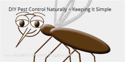 Save with 1 do it yourself pestcontrol products coupon codes and sales. Chips off the old Block: Do It Yourself Pest Control Naturally #DIY #essentialoils #naturalliving