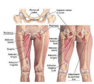 Your hips are the center of movement for your body, so the healthier and less restricted your hips become, the more potential your body has for strength, power, and athleticism. For My Achy Breaky Body에 있는 핀