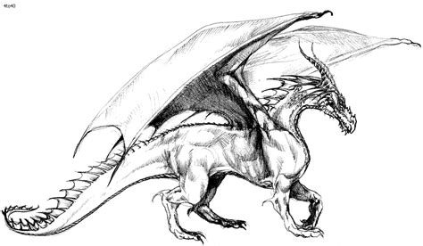 Realistic Dragon Coloring Pages For Adults - Coloring Home