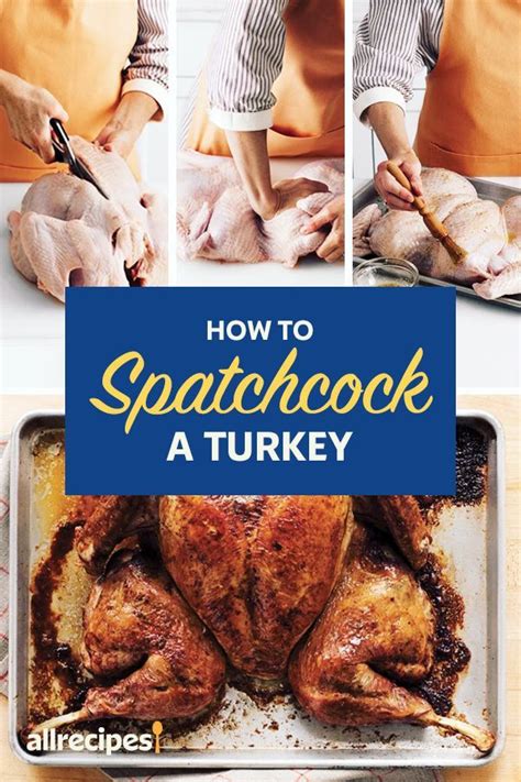 How many types of bones are there? How to Make Spatchcock Turkey for the Fastest, Crispiest ...