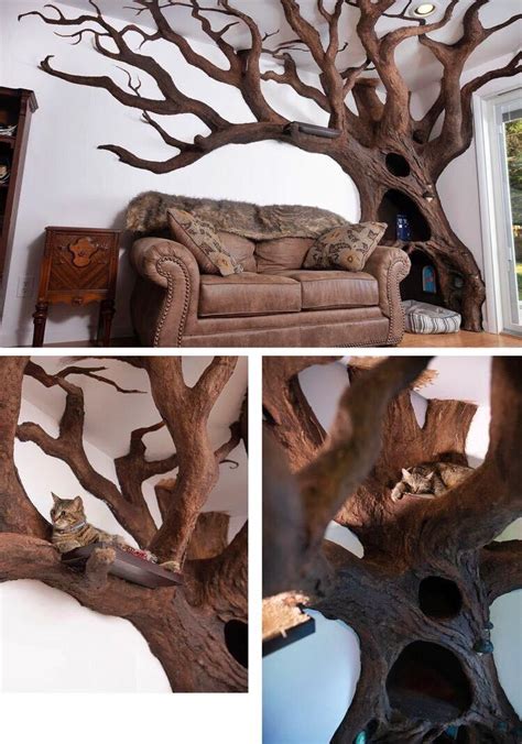 Best cat trees that look like real trees to buy. The cat is enjoying this amazing 'Cat Tree' in the living ...