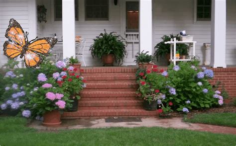 They'll absorb the space's unpleasant odors that were generated. A Garden in Southwest Georgia: Bananas, Coffee Grounds ...