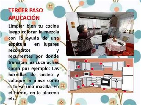 Conoce sus tipos, características y hábitos para acabar con ellas de forma segura. Como eliminar las cucarachas de tu cocina - YouTube