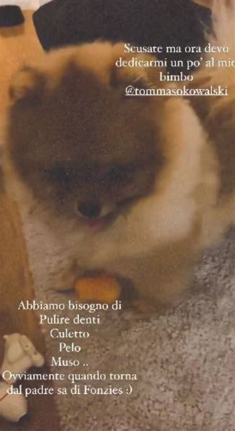 L'animale è in fase di addestramento. Giulia De Lellis definisce Damante 'padre' del suo cane - Gossip.it