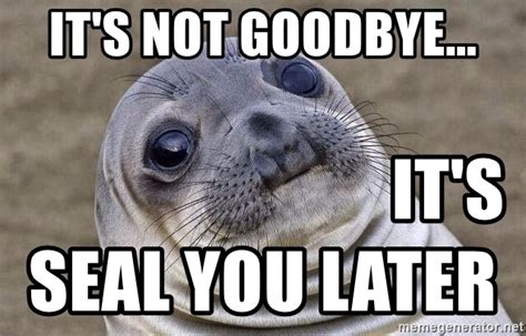 In its totality, it's not me, it's you was a very entertaining read. It's not goodbye... It's Seal you later - Awkward Seal ...