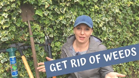 Some seeds are blown in by the wind while others may be carried and left behind by not working too hard doesn't mean neglecting your garden if you want to get rid of weeds. 🌾 How to Get Rid of Weeds ~ Weed Prevention ~ Y Garden 🌾 ...