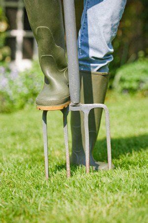 3 how often should i aerate my lawn? How To: Overseed a Lawn For a Lush, Green Yard | Fall lawn ...