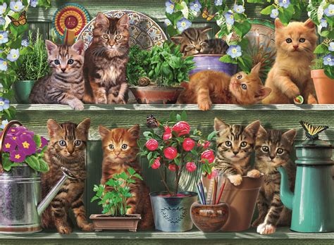 Puzzlesnz have a great range of jigsaw puzzles in all sizes for adults and children something to appeal to everyone also family games and brainteaser puzzles. Ravensburger: Jigsaw Puzzle - Cats on the Shelf | Toy | at ...