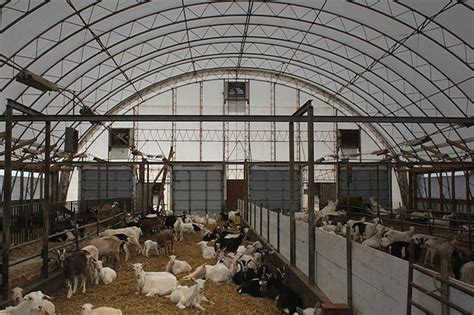 A full barn and even a shed is not a requirement for raising goats. Goat Barn Layout Plans | Joy Studio Design Gallery - Best ...