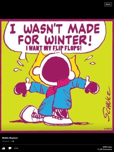 Maybe you would like to learn more about one of these? Winter.....ba humbug | Funny quotes, Funny pictures