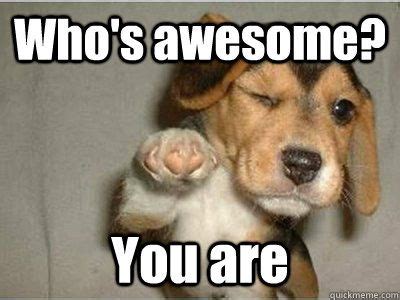 Getting some recognition with a pat on the back or a thumbs up is nice, but nothing says 'great job' like these great job memes. who's awesome - Google Search | Puppies funny, Funny ...