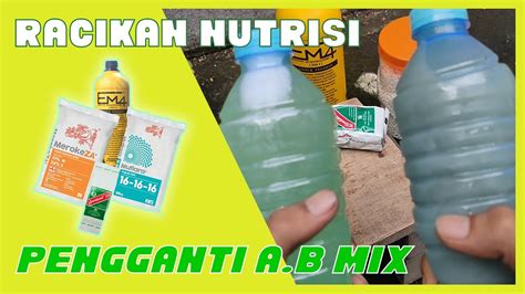 Maybe you would like to learn more about one of these? CARA MERACIK NUTRISI PENGGANTI AB MIX || JUNADI HIDROPONIK ...