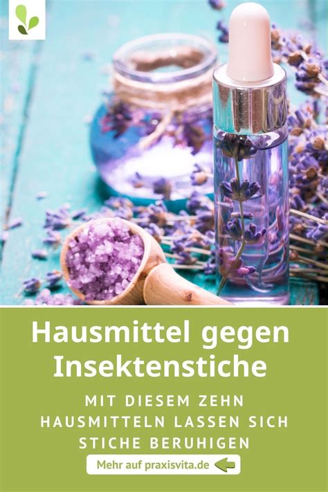 Um die mücken eine ganze saison von der wohnung fernzuhalten, werden also in großen wohnungen auch verhältnismäßig große ausgaben notwendig. 10 Hausmittel gegen Insektenstiche: Das hilft! in 2020 ...