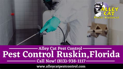 Foreclosed single family home located at 13307 waterford run dr, riverview, fl, 33569. Pest Control Ruskin Florida | Ruskin Exterminator | Alley ...