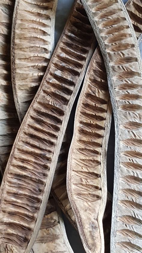 They are great to use for: dried flowers | Straw basket, Dried flowers, Wicker